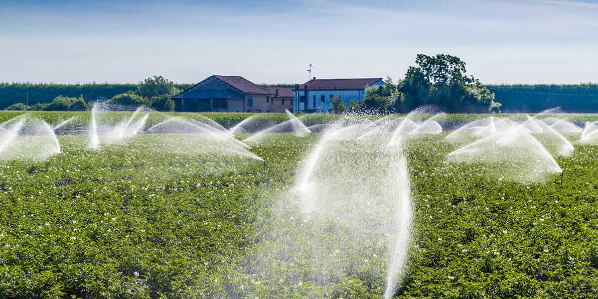 Irrigation tips