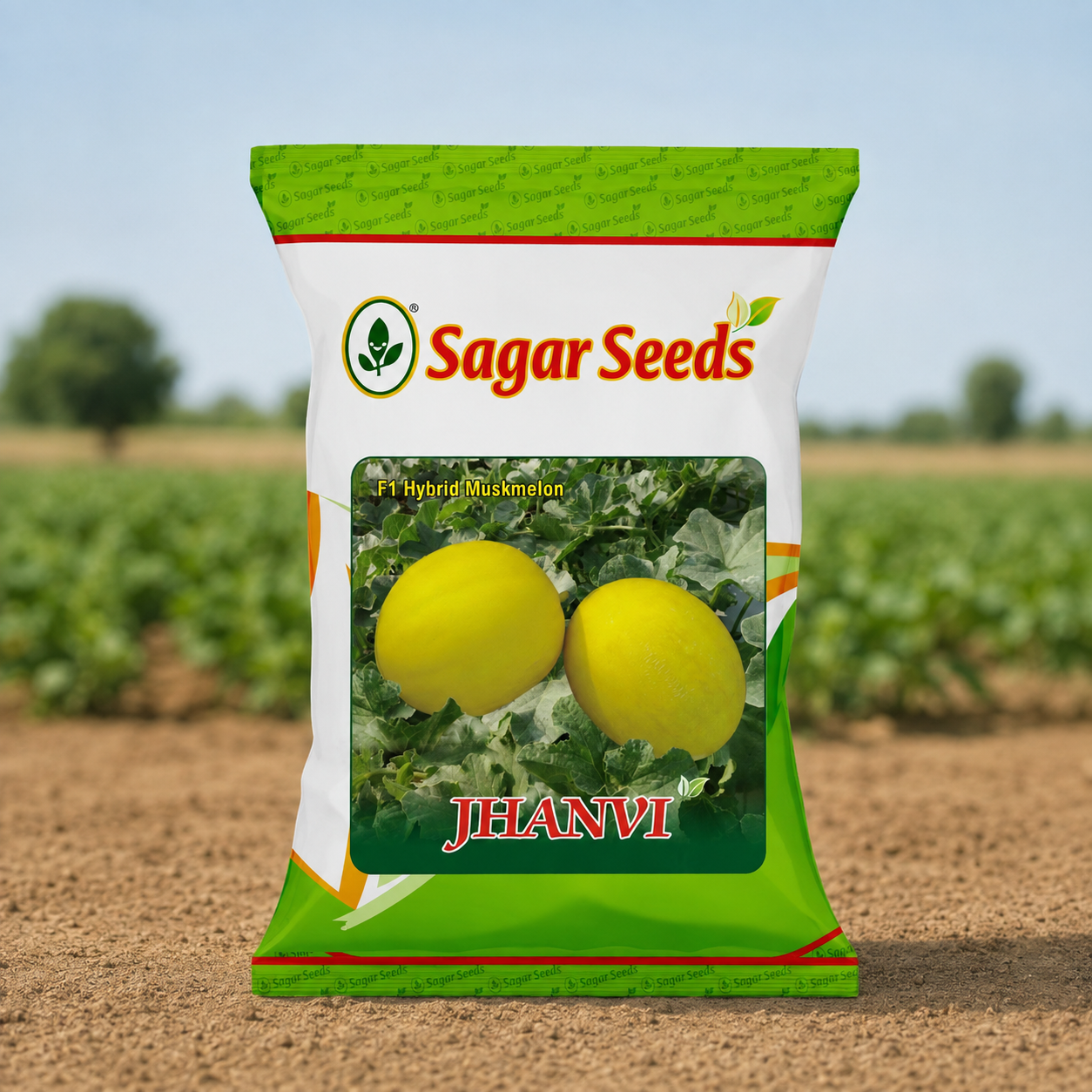 Sagar Jhanvi Muskmelon